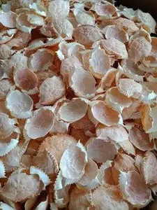 Food Grade Dried <b>Crab</b> Shell Supplier | Dried <b>Crab</b> Shell for Stuffed Seafood Dish - Product Image 4