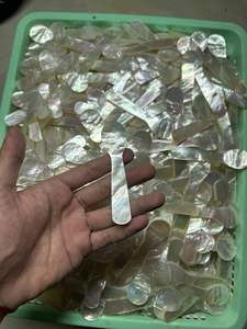 Custom Laser Engraved Logo Natural Nacre Mother of Pearl <b>Shell</b> Caviar Ice Cream Spoon Handmade Eco Friendly Tableware Gift - Product Image 2