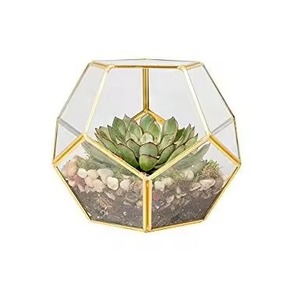 Terrario de Metal de Lujo para Interiores, Macetero de Vidrio, Elegante Soporte Geométrico para Plantas, Decoración del Hogar - Product Image 4