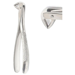 Pinzas Dentales de Extracción Manuales Profesionales de Acero Inoxidable, Clase I, Modelo DSF-234, Logotipo Personalizado, Calidad Duradera, Garantía de por Vida - Product Image 4