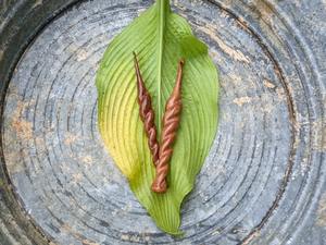 Kit de Ganchillos de Madera Natural Duraderos, Agarre Cómodo, Calidad Superior para Proyectos de Tejido y Manualidades - Product Image 3