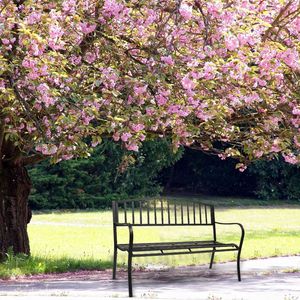 Banco de Jardín de Hierro de 51 Pulgadas, Silla de Porche Vintage con Envío Gratuito, Acabado Negro para Patio o Jardín - Muebles YJ - Product Image 2