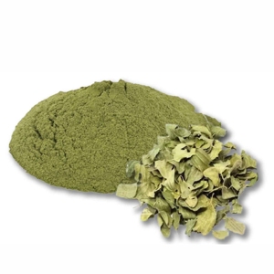 Polvo de Ziziphus Spina-Christi al por Mayor, 100% Puro y Natural, Polvo de Hoja de Sidr para la Limpieza Natural del Cabello y Cuidado del Cuero Cabelludo - Product Image 1