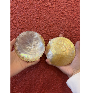 Assiette en nacre jaune naturelle, forme originale, pour servir le caviar lors de réceptions - Product Image 2