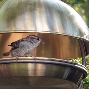 Mangeoire à oiseaux suspendue en laiton faite à la main pour décoration extérieure de jardinage, thème oiseaux - Product Image 4