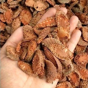 Rodajas de Flor de Palma Toddy a Precio Competitivo, Rodajas Secas de Palma Macho Palmyra, Rodajas de Borassus Flabellifer de Alta Calidad a Granel - Product Image 3
