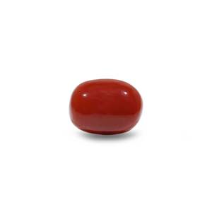 Natural Red Coral Oval Cabochon Loose Gemstone 9.9 Carat Certified Wholesale - Product Image 1