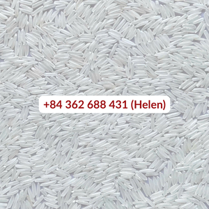Jasmine ST25 Rice World best rice 2025 natural <b>perfume</b> OEM direct from factory wholesaler super long grain <b>perfume</b> rice - Product Image 3