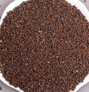 เมล็ดมัสตาร์ดสีดำบริสุทธิ์สำหรับบดและผลิตน้ำมัน จำหน่ายส่งจำนวนมาก วัตถุดิบแห้งธรรมชาติสำหรับอุตสาหกรรมอาหาร - Product Image 2