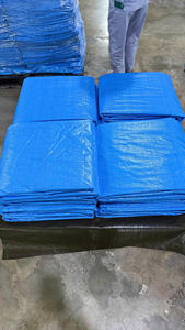 Bâche en PE à bas prix, imperméable, résistante aux UV, pour la construction et l'agriculture - Product Image 2