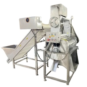 Equipo de Descorazonado de Frutas de Acero Inoxidable Totalmente Automático para Exportación de Calidad - Product Image 6