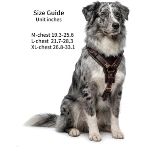 Harnais pour chien en cuir marron avec ajustement réglable, coutures durables, boucles métalliques et anneau de laisse pour une utilisation quotidienne en extérieur - Product Image 3