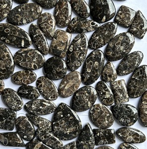 Natural Turritella <b>Fossil</b> Mix Shape Loose Gemstones 5-10g 4-7mm ARHAN GEMS for Jewelry Making - Product Image 5