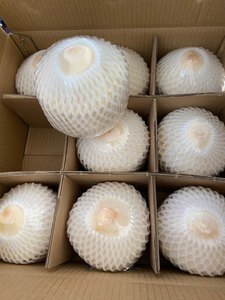 ทรงเพชรรูปมะพร้าวอ่อนสีเขียวสดตัดด้วยความบริสุทธิ์สูงน้ำหวานราคาโรงงาน - Product Image 6