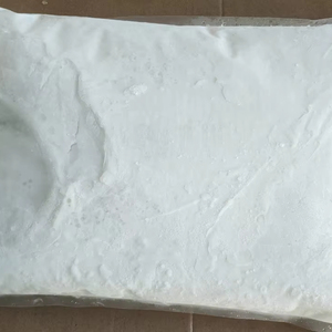 Leche de Coco en Polvo Baja en Grasa, Fabricada en Vietnam, Ingrediente Natural Saludable para Cocinar, Hornear y Bebidas - Product Image 3