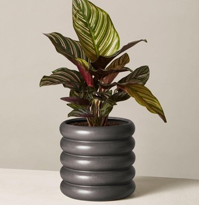 Premium Textured Dark Metal <b>Vase</b> <b>Set</b> Modern Decorative Flower <b>Vases</b> Luxury Home Decor Stylish Table Accent Planter for Living - Product Image 2