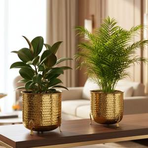 Macetero de hierro hecho a mano con acabado negro, maceteros de jardín con soporte, maceteros de estilo antiguo con soporte dorado - Product Image 2