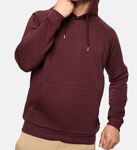 Servicio OEM al por Mayor, Sudaderas con Capucha para Hombre de Diseño Superior, Ligeras, Color Personalizado - Product Image 6