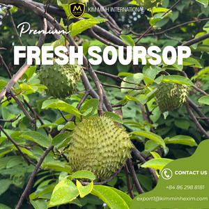 Guanábana Fresca de Primera Calidad de Kim Minh International - Suministro Global para Importadores - Product Image 2