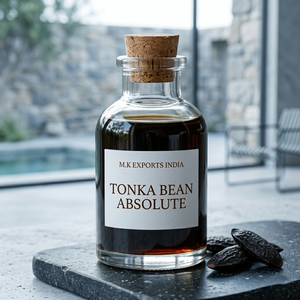 Aceite Absoluto de Tonka, Ingrediente de Perfumería Natural Rico en Cumarina para la Elaboración de Fragancias de Lujo y Perfumes Finos - Product Image 4