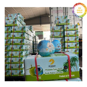 Deliciosas cocos frescos jóvenes listos para beber, para suministro a restaurantes profesionales, grado de exportación a granel - Product Image 2