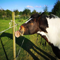 Bloc de sel minéral naturel pur pour le bétail, les chevaux, les moutons, les chèvres, les buffles, aliments pour animaux, vente en gros