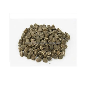 Fournisseur indien d'huile de graines de Moringa biologique pure de qualité supérieure à 100% pour la consommation humaine - Product Image 5