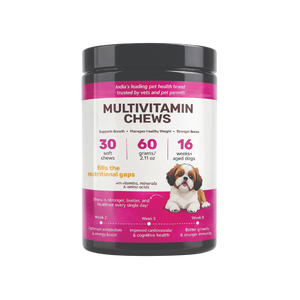 Organic Grain-Free Multivitamin Soft Chews Daily Health Support Supplement for Puppy Dogs Cats Private Label Manufacturer Export - Product Image 1
