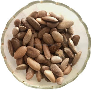 Michelia Champaca Kanchan Seed Champak Seed Beej Kanchan Dried Raw Herbs Wholesale Plant <b>Extract</b> Herbal Product - Product Image 1