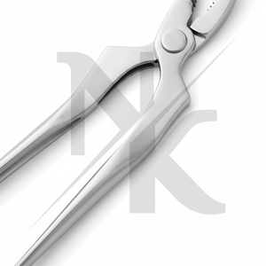 Nuevo Lanzamiento: Herramienta de Herrador de Acero Inoxidable Duradero y Resistente a la Corrosión para el Cuidado Profesional de Caballos - Product Image 4