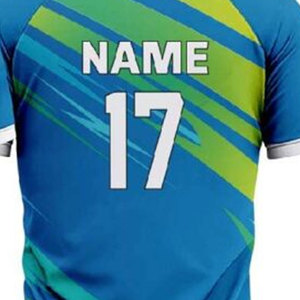 Maillot de cricket personnalisé en polyester respirant à séchage rapide avec col en V – Vêtements de sport haut de gamme pour le cricket - Product Image 5