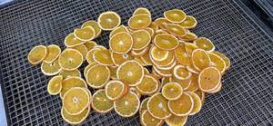 Rodajas de Naranja Secas Premium, Grosor Uniforme, Fruta Cítrica, Proveedor a Granel de Primera Calidad, Exportación de Vietnam - Product Image 6