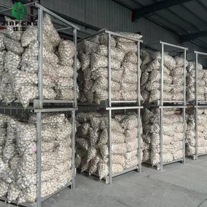 Suministro <span class=keywords><strong>de</strong></span> Cebolla Amarilla, Roja y Morada Fresca <span class=keywords><strong>de</strong></span> Alta Calidad <span class=keywords><strong>de</strong></span> China - Product Image 6