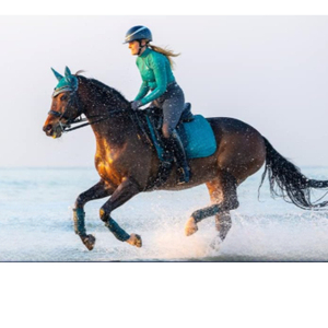 Tapis de selle carré matelassé pour cheval |   Tapis de selle équestre respirant avec |   Équipement d'équitation en gros - Product Image 2
