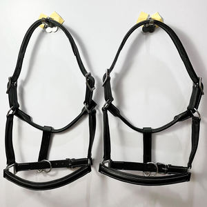 Traditional Leather Horse <b>Halter</b> with Red Blue White Pattern and Gold Hardware Adjustable Design - Product Image 4