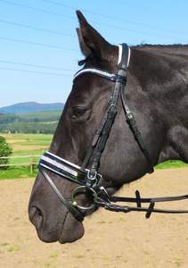 สายรัดข้อมือหนังรูปม้าวิบวับคริสตัลรูปตัวยู - Product Image 3