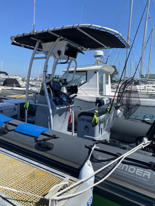 3-D T-e-n-d-e-r P-A-T-R-O-L 6.00 - Product Image 2