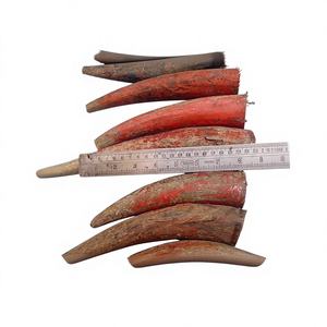 Botón de palanca de cuerno de búfalo natural, patrón cuadrado para ropa, producción directa de fábrica, interruptores de palanca de cuerno de resina - Product Image 2