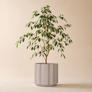 Weatherproof Outdoor Terrace Planter Warm Grey Fluted Round Tub <b>UV</b> Stable Frost Resistant Set of Four Sizes - Product Image 1