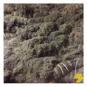 Best Price <b>Dried</b> Black <b>Grass</b> Jelly Powder and Leaves Vietnam Manufacturer for Beverage Dessert and Bubble Tea - Product Image 3