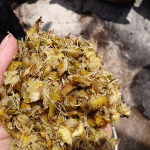 Silage de Piña en Conserva de la Mejor Calidad, Venta Directa de Fábrica en Vietnam, Disponible en Varias Opciones de Empaque - Product Image 1