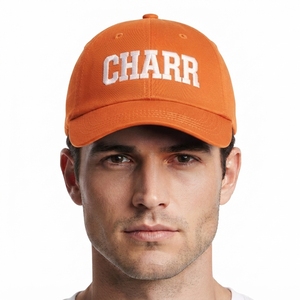 Gorra de Béisbol Deportiva de Mezclilla para Invierno, con Logotipo Personalizado, Impermeable, para Hombre y Mujer, Ajustable, con Protección para el Cuello, de Color Sólido - Product Image 1