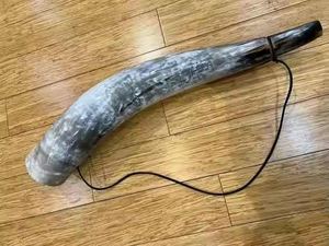 Fabricante de Cuernos Vikingos para Beber Hechos a Medida de la India, Proveedor Mayorista de Cuernos de Búfalo Pulidos para Beber - Product Image 4