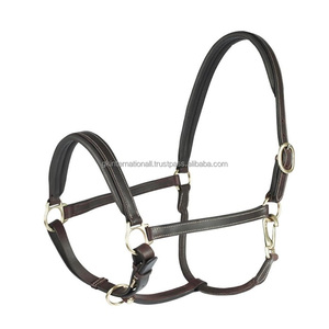 Premium Wholesale Popular Luxurious Elegant Perfect Adjustable Fashionable Padded Heavy Duty Durable Leather Horse <b>Halter</b> - Product Image 4