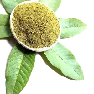 Extracto de Hoja de Guayaba en Polvo (Prensado en Frío, Empaque en Tambor), 100% Puro, Grado Alimenticio, Extracto Herbal, Paquete de 100 gramos - Product Image 5