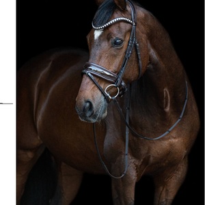 Brida snaffle - Product Image 1