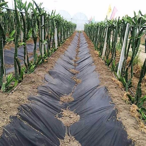 Tela no tejida de polipropileno blanco transpirable ecológica Spunbond PP para cubierta de cultivo agrícola Extra ancha - Product Image 2