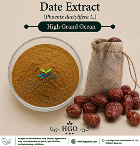 โรงงาน HGO จำหน่ายสารสกัดอินทผลัมโดยตรง (Phoenix dactylifera L.) (เกรดอาหาร) อัตราส่วนสารสกัด 4:1 5:1 10:1 20:1 100:1 200:1 - Product Image 1