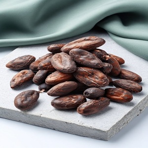Fèves de cacao de la meilleure qualité pour la fabrication de chocolat et de poudre de cacao, avec saveur naturelle pour une transformation alimentaire de qualité. - Product Image 2