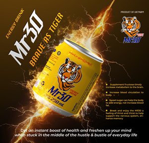 Fabricant OEM ODM A&B Vietnam 250ml Mr30 Energy Drink |   Taurine Power Energy Boost |   Composants glucides |   Faible en glucides |   Échantillons Gratuits - Product Image 2